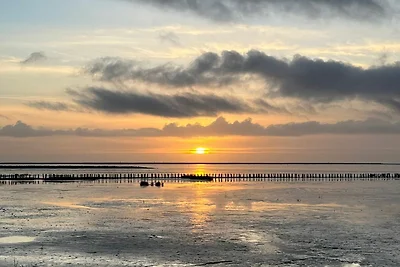 Vakantiehuis Ontspannende vakantie Friedrichskoog