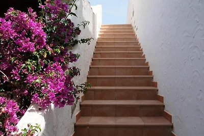 Dachterassenbungalow in Toplage II - Nr. S428