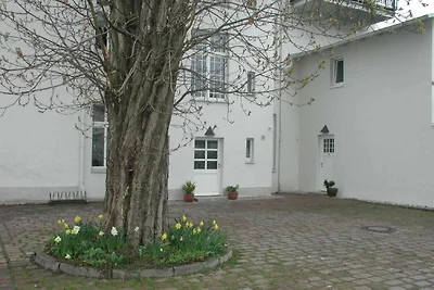 Villa Bismarckshöhe Wohnung Clara