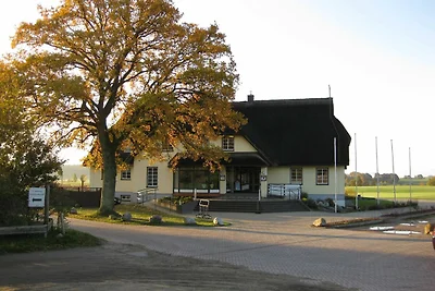 02 Doppelzimmer Kat. II