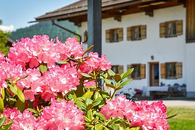 Vakantieappartement Gezinsvakantie Bad Wiessee