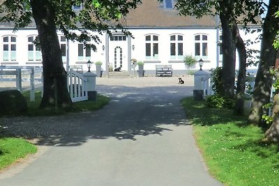 Gartenwohnung 2