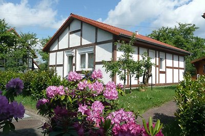 Ferienhaus 116 Kogge 60qm bis 4 Personen mit...