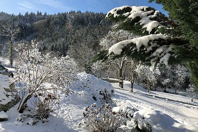 Vakantieappartement Gezinsvakantie Waldkirch