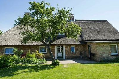Ferienhaus Augustin mit Reetdach im Ostseebad...