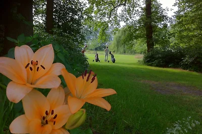 Albergo Cultura ed escursioni Bad Bentheim