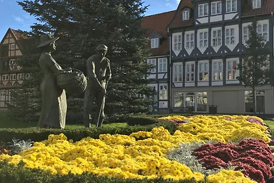 Vakantieappartement Gezinsvakantie Wolfenbüttel