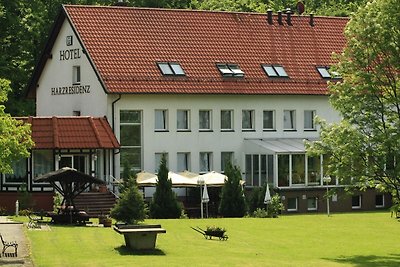 Hotel Cultuur en bezienswaardigheden Friedrichsbrunn