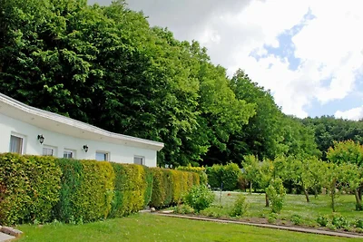 Vakantieappartement Gezinsvakantie Patzig