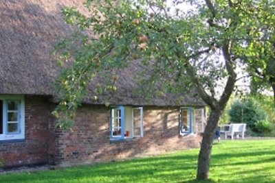 Ferienhaus Zander