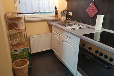 Wohnung 4 mit Terrasse