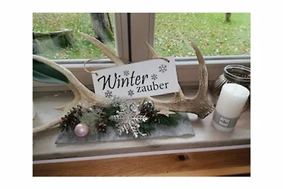 Vakantieappartement Gezinsvakantie Mondsee