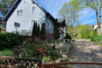 Fewo Kastanienblick, WLAN