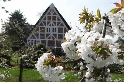 Vakantieappartement Gezinsvakantie Hollern-Twielenfleth