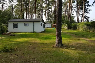Casa vacanze Vacanza di relax Lychen