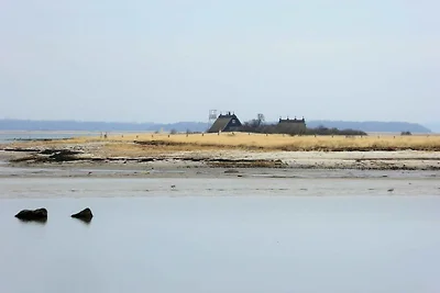 Hotel Cultuur en bezienswaardigheden Gollwitz