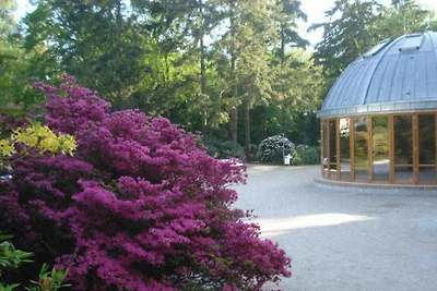 Ferienwohnung Ostseekrabbe 1b