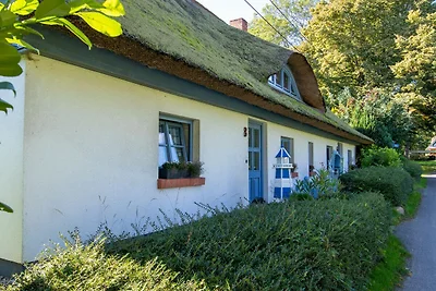 Vakantieappartement Gezinsvakantie Kenz-Küstrow