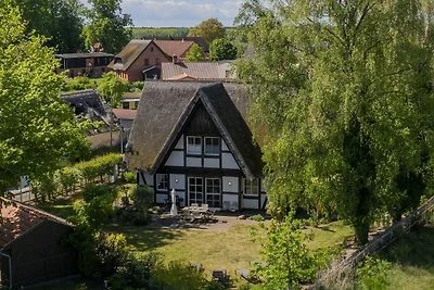 Ferienhaus Flieder