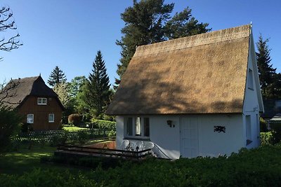 Ferienhaus Boddenblick