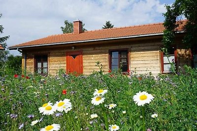 Zedernblockhaus ZBZ Stella