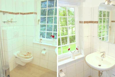 Charmante Ferienwohnung am Mühlendeich