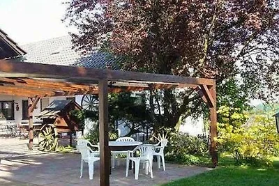 Albergo Cultura ed escursioni Miltenberg