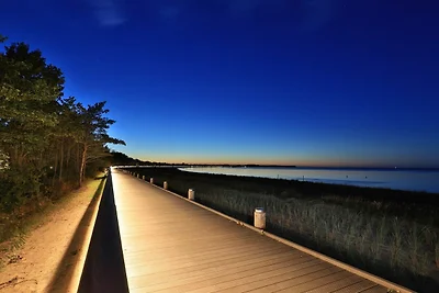 Schwarzer Bär Whg. Bär 04