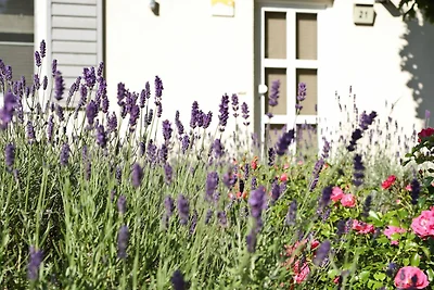 Ferienhaus Ahorn