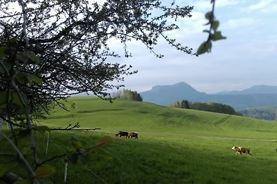Appartamento Vacanza con famiglia Tiefgraben am Mondsee