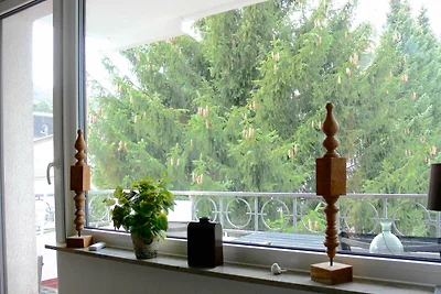 Appartement Vacances avec la famille Bad Harzburg