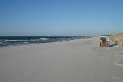 Küstenwald - Ferienwohnung Igel 67