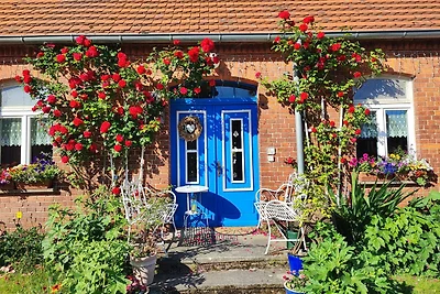 Vakantiehuis Ontspannende vakantie Wredenhagen
