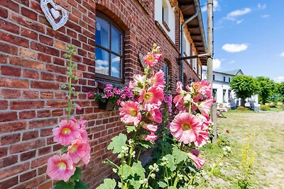 Vakantieappartement Gezinsvakantie Steffenshagen