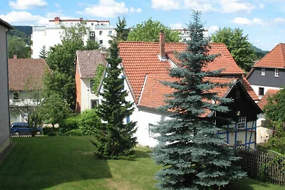 Appartement Vacances avec la famille Bad Harzburg