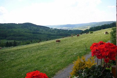 Vakantieappartement Gezinsvakantie Birx