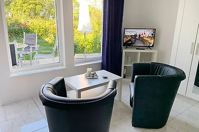 Appartement 1 - mit grosser Terrasse