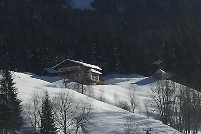 Vakantieappartement Gezinsvakantie Annaberg im Lammertal
