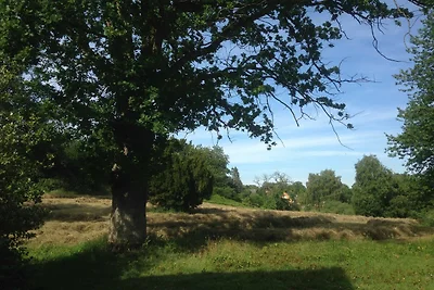 Vakantieappartement Gezinsvakantie Malente