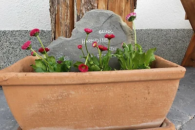 Vakantieappartement Gezinsvakantie Tannheim
