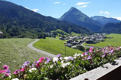 Vakantieappartement Gezinsvakantie Schoppernau