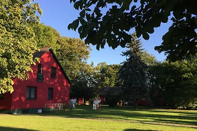 Ferienwohnung Schwalbe (OG)