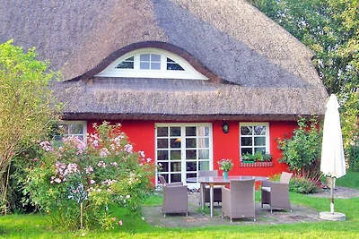 Vakantiehuis Ontspannende vakantie Kenz-Küstrow