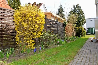 DEB 041 Ferienwohnung am Kurpark Altefähr