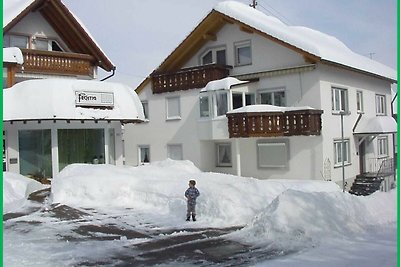 Vakantieappartement Gezinsvakantie Bonndorf