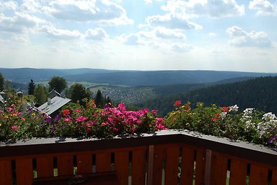 Albergo Cultura ed escursioni Klingenthal