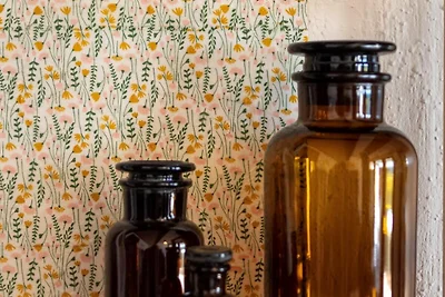 Albergo Cultura ed escursioni Bad Dürrheim