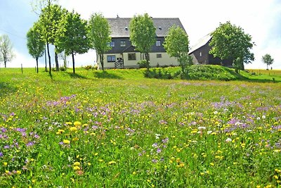 Holiday flat family holiday Hermsdorf