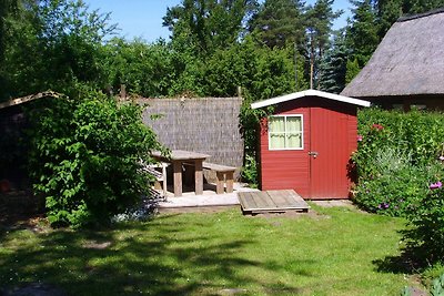 Vakantiehuis Ontspannende vakantie Stahlbrode