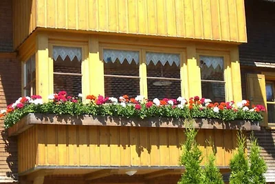 Ferienwohnung